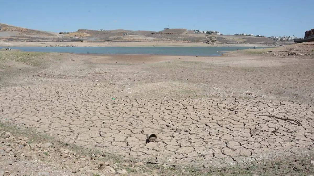 presa rejón basura contaminación 2